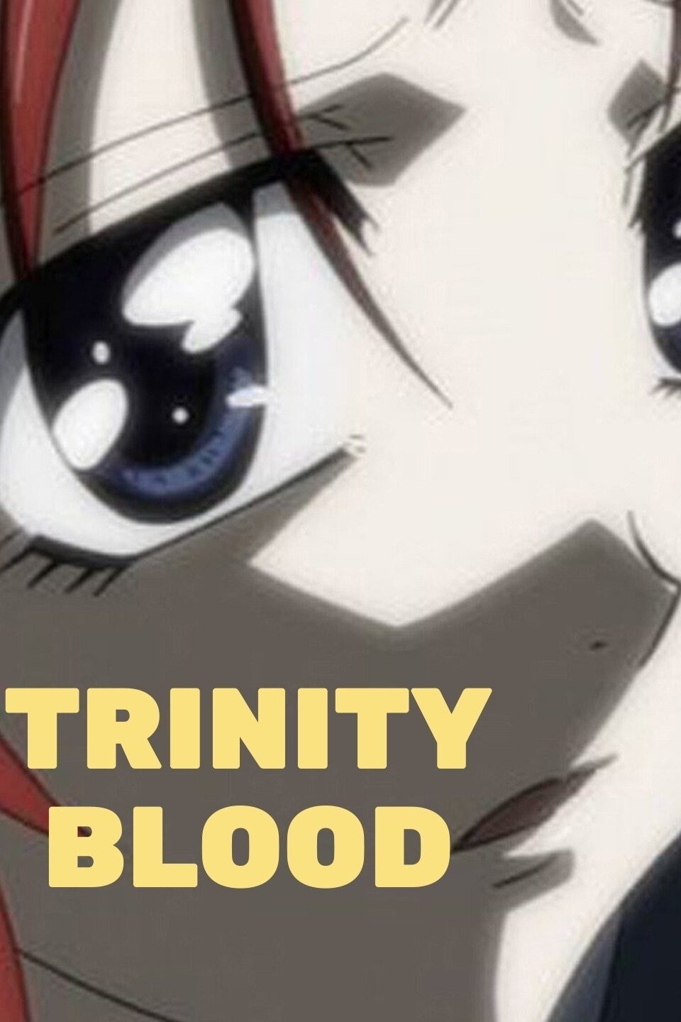 Trinity Blood Vol 2 Manga eBook by Sunao Yoshida  EPUB Book  Rakuten  Kobo India